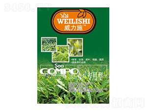 ���~������-����ʩ