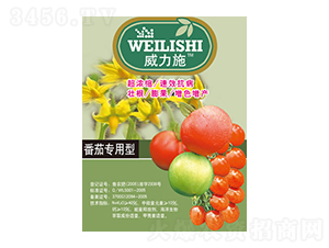 ���ь�����-����ʩ