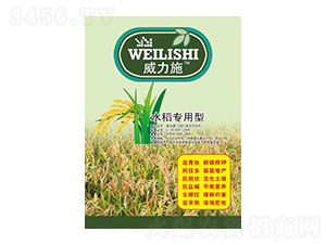 ˮ��������-����ʩ