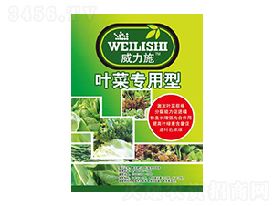 �~�ˌ�����-����ʩ