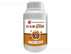 ���w��-�t̫�-�ư����B(t��i)