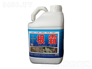 ����-��ɽ̩�S