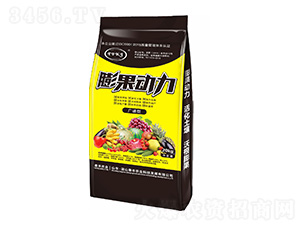 �V�V���������-��ɽ̩�S