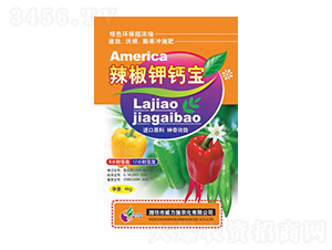 ������}��-����ʩ