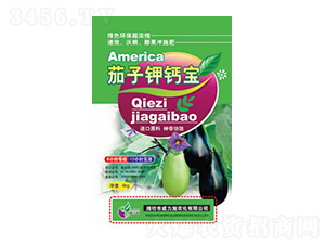 ������}��-����ʩ