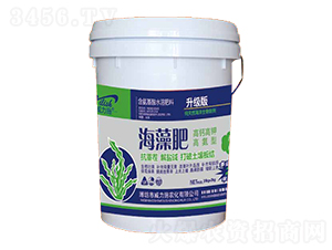 ���}��⛸ߵ��ͺ����-����ʩ