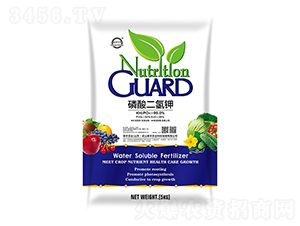 �������⛣�����-��ɽ̩�S