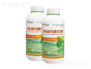 �����}��τ�-�ؾ�����