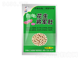 ������܊��-��������