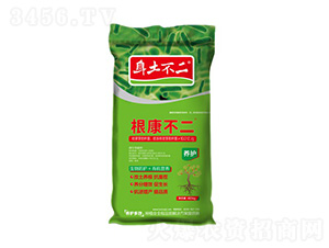 ��������-��������-��ľ������