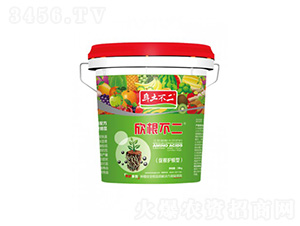 ��������-��������-��ľ������