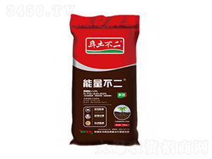 ��������-��������-��ľ������