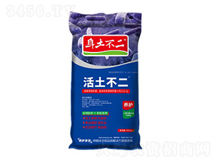 ��������-��������-��ľ������