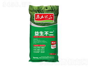 ��������-��������-��ľ������