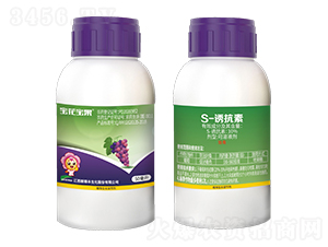 10%S-�T����-��������-�����S