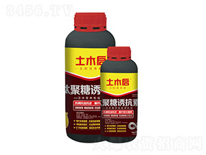 �ľ����T����-��ľ������