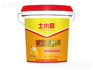 �������n��-��ľ������