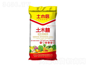 ��ľ�֣��t��-��ľ������