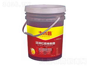 �ӝɼt�نΰ���-��ľ������