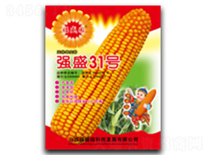 ��(qi��ng)ʢ31̖-���׷N��-��(qi��ng)ʢ�N�I(y��)