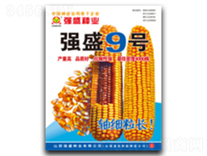 ��(qi��ng)ʢ9̖-���׷N��-��(qi��ng)ʢ�N�I(y��)