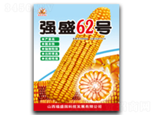 ��(qi��ng)ʢ62̖-���׷N��-��(qi��ng)ʢ�N�I(y��)