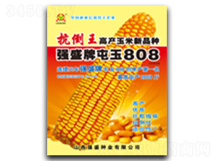 ��(qi��ng)ʢ������808-���׷N��-��(qi��ng)ʢ�N�I(y��)