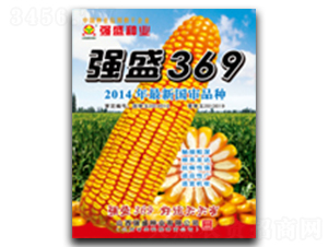 ��(qi��ng)ʢ369-���׷N��-��(qi��ng)ʢ�N�I(y��)