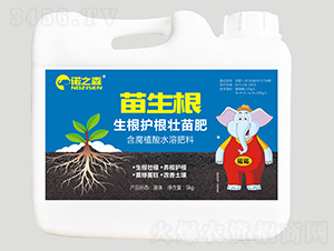 �����o(h��)�����-������-�Z֮ɭ