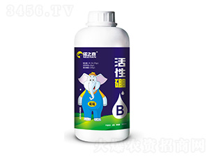 ������-�Z֮ɭ