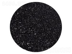 ��ֲ���-�𺣵|