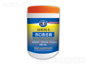 �@�֘�(sh��)ľ�������ϸ�-����