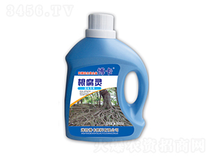 �@�֌��ø����`-����