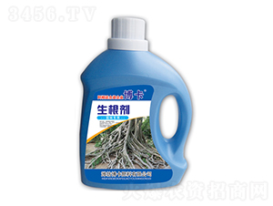 �@�֌���������-����