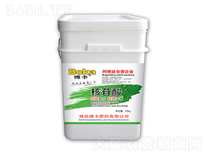 ������-����