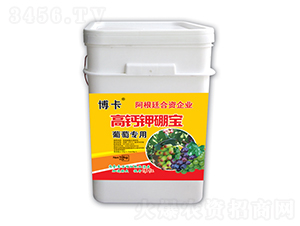 ���}�������10kg��-����