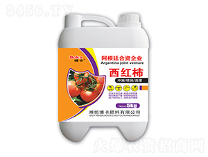 ���t�����÷�-����