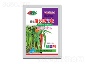 �������L(zh��ng)�����-����