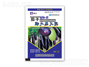 ������������-����