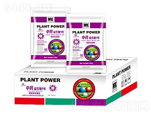 ��ˎ������1̖-�W�����F