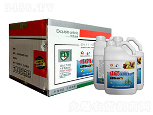 ��ˎ���Ǵ�1̖-�W�����F