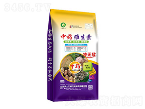 ��ˎ�S����-��������-�W�����F