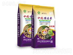 ��ˎ���S����1̖-�W�����F