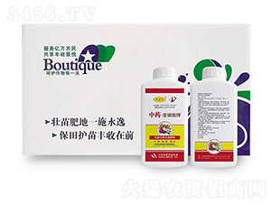 ��ˎ���������-�W�����F