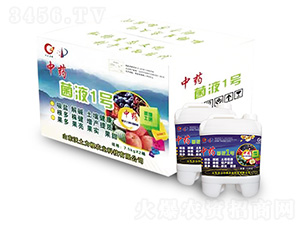 ��ˎ����Һ1̖(h��o)-�W�����F(tu��n)