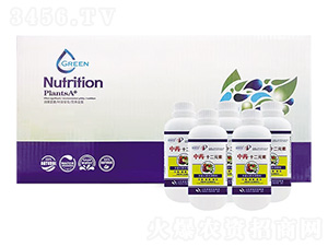 ��ˎ ��ʮ��Ԫ��-�W�����F(tu��n)