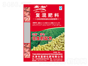 �����䷽�ʏ�(f��)�����-�ζ�