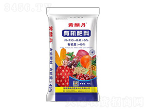 �����ЙC����-�S�뵤