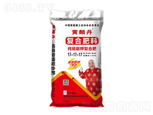 ������⛏�(f��)�Ϸ���17-