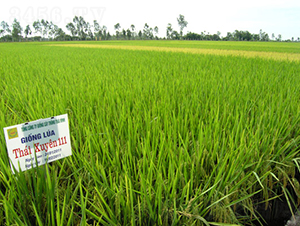 ̩��(y��u)1̖-ˮ���N��-���C�N�I(y��)